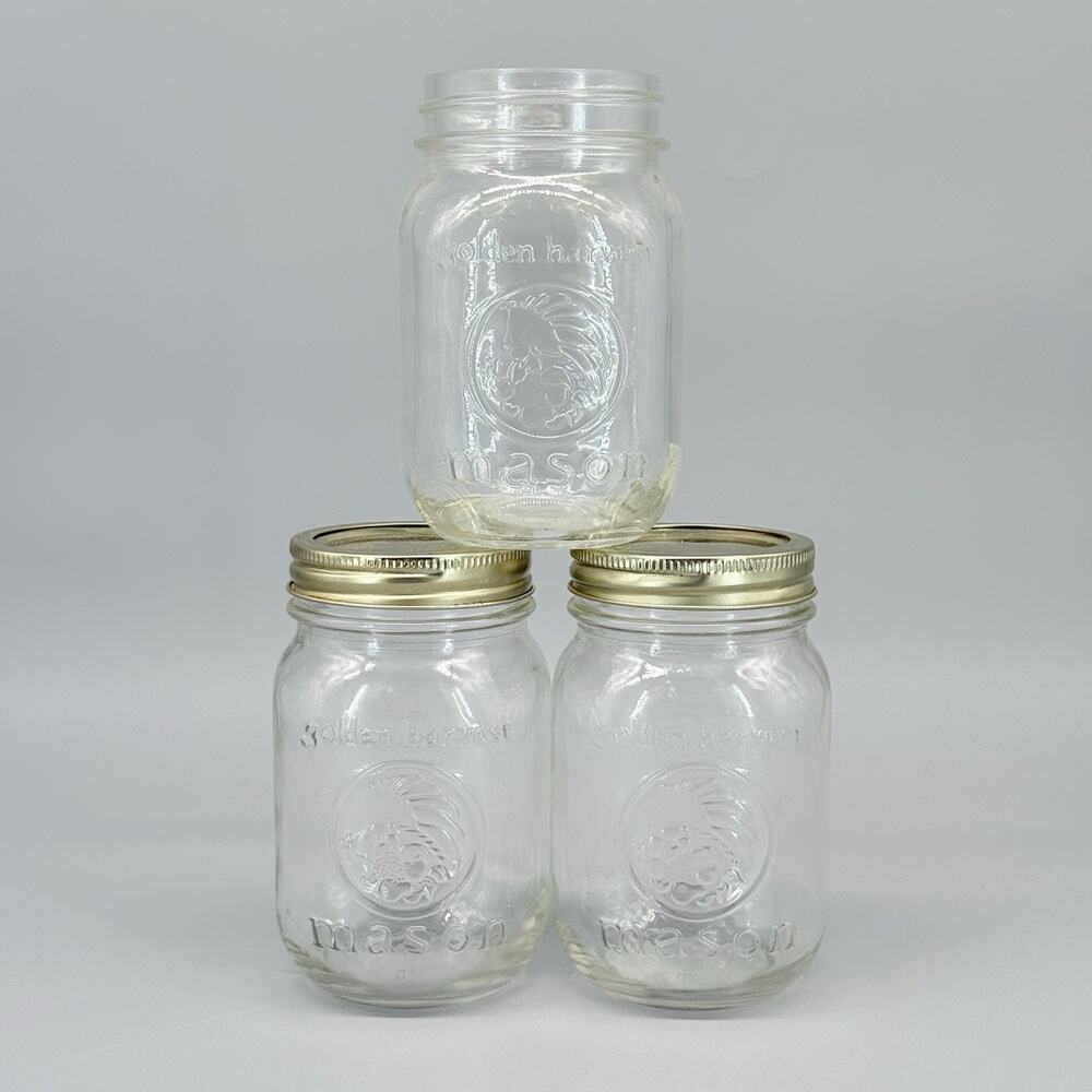 Golden Harvest Mason Pint Jars Set of 3 Clear Glass Cornucopia Embossed 2 W/Lids